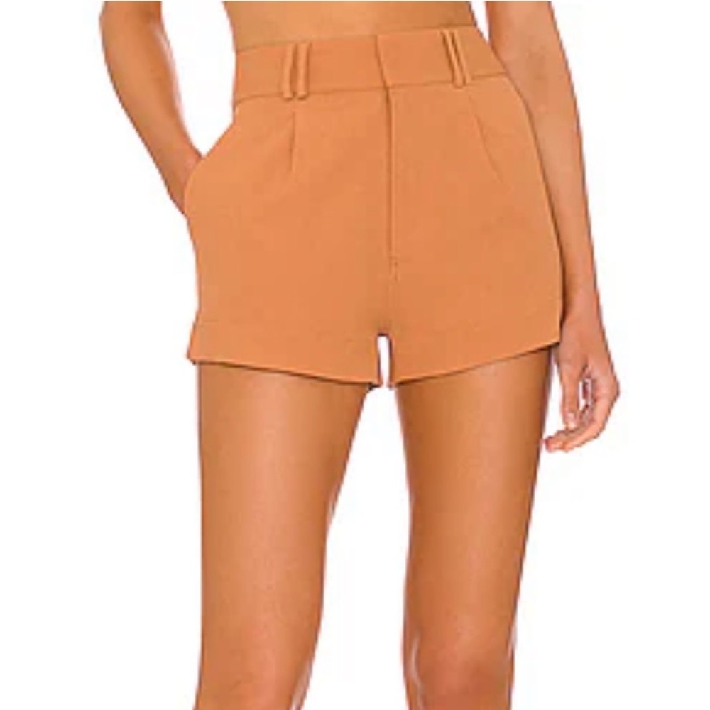 Amuse Society Sydney Shorts in Russet (L)